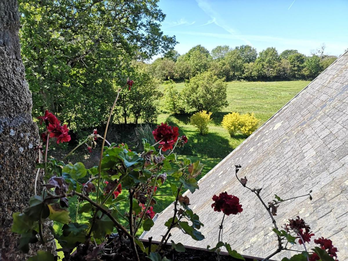 Ancteville Manoir De La Foulerie B&B 외부 사진
